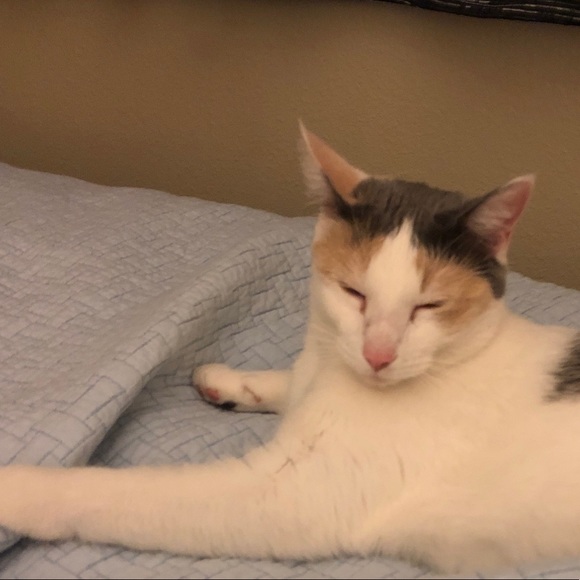 Meet your Posher, Paris - Picture 1 of 1